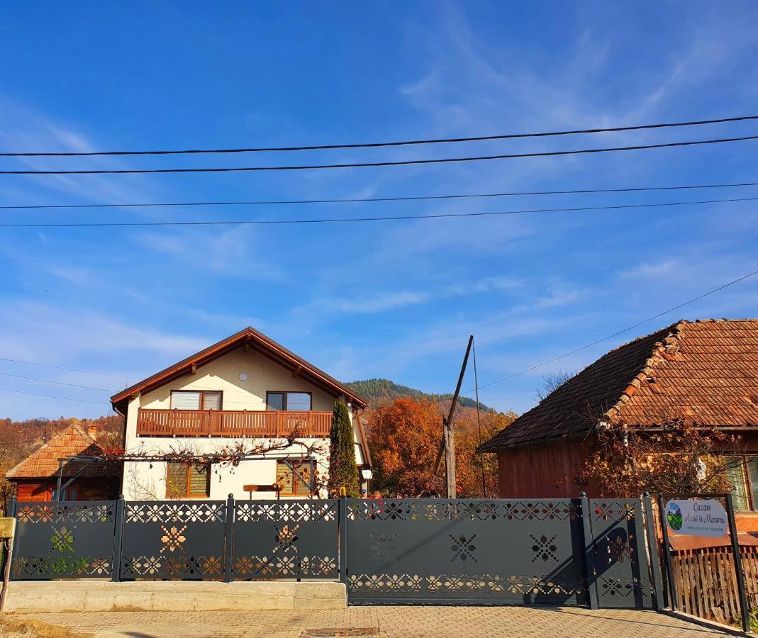 Отель Domeniul Acasa In Vadu Izei Maramu Экстерьер фото